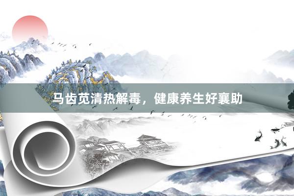 马齿苋清热解毒，健康养生好襄助