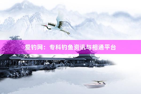 爱钓网：专科钓鱼资讯与相通平台