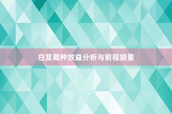 白芨栽种效益分析与前程掂量