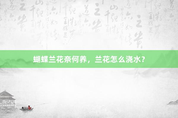 蝴蝶兰花奈何养，兰花怎么浇水？