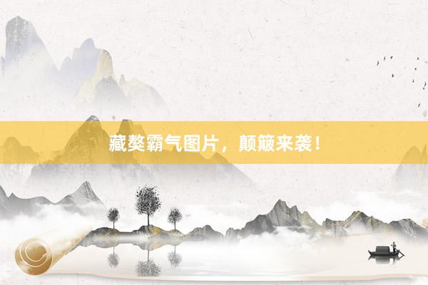 藏獒霸气图片，颠簸来袭！