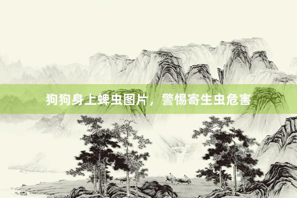 狗狗身上蜱虫图片，警惕寄生虫危害